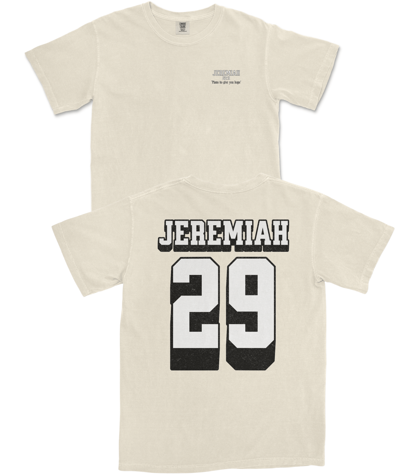 Jeremiah 29 T-Shirt