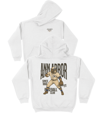 Ann Arbor Baseball YOUTH Hoodie- Hometown Heroes