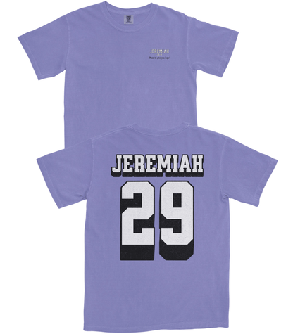 Jeremiah 29 T-Shirt