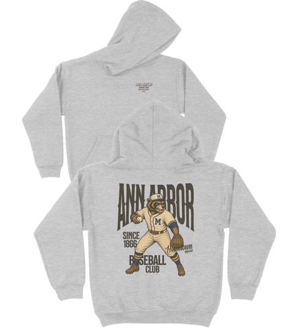 Ann Arbor Baseball YOUTH Hoodie- Hometown Heroes