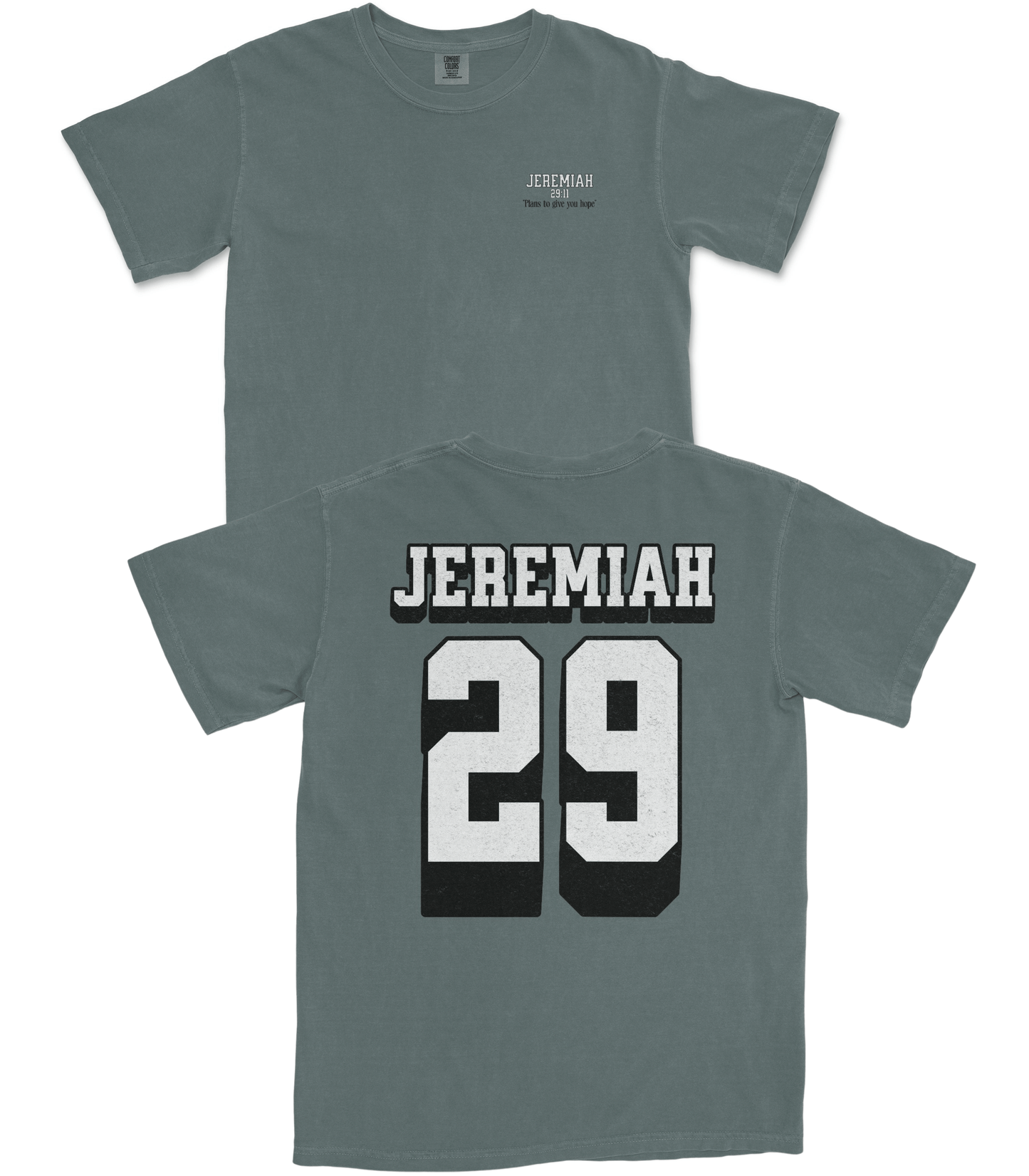 Jeremiah 29 T-Shirt