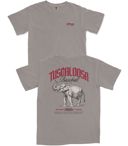 Tuscaloosa Baseball T-Shirt