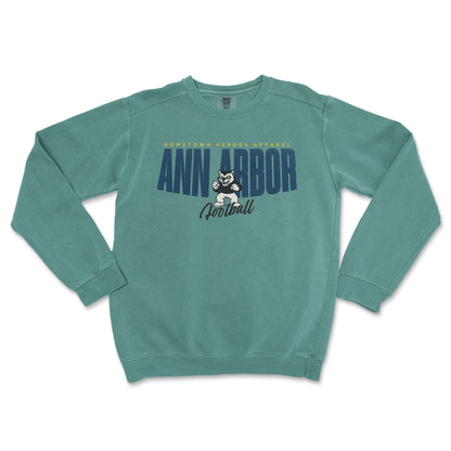 Teal sweatshirt with 'Ann Arbor Football' text and logo on a white background