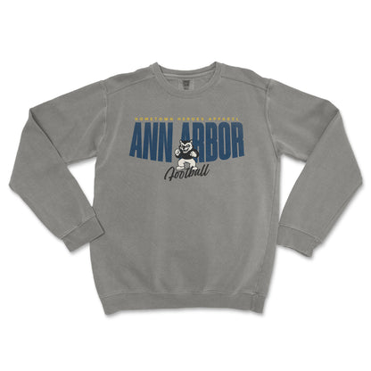 Gray sweatshirt with 'Ann Arbor Football' text and logo on a white background
