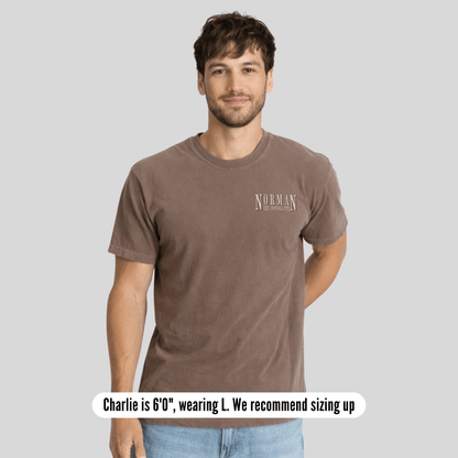 Man wearing a brown t-shirt with a logo on a gray background